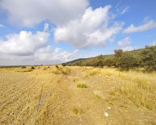 Land for sale in La Nava de Santiago 