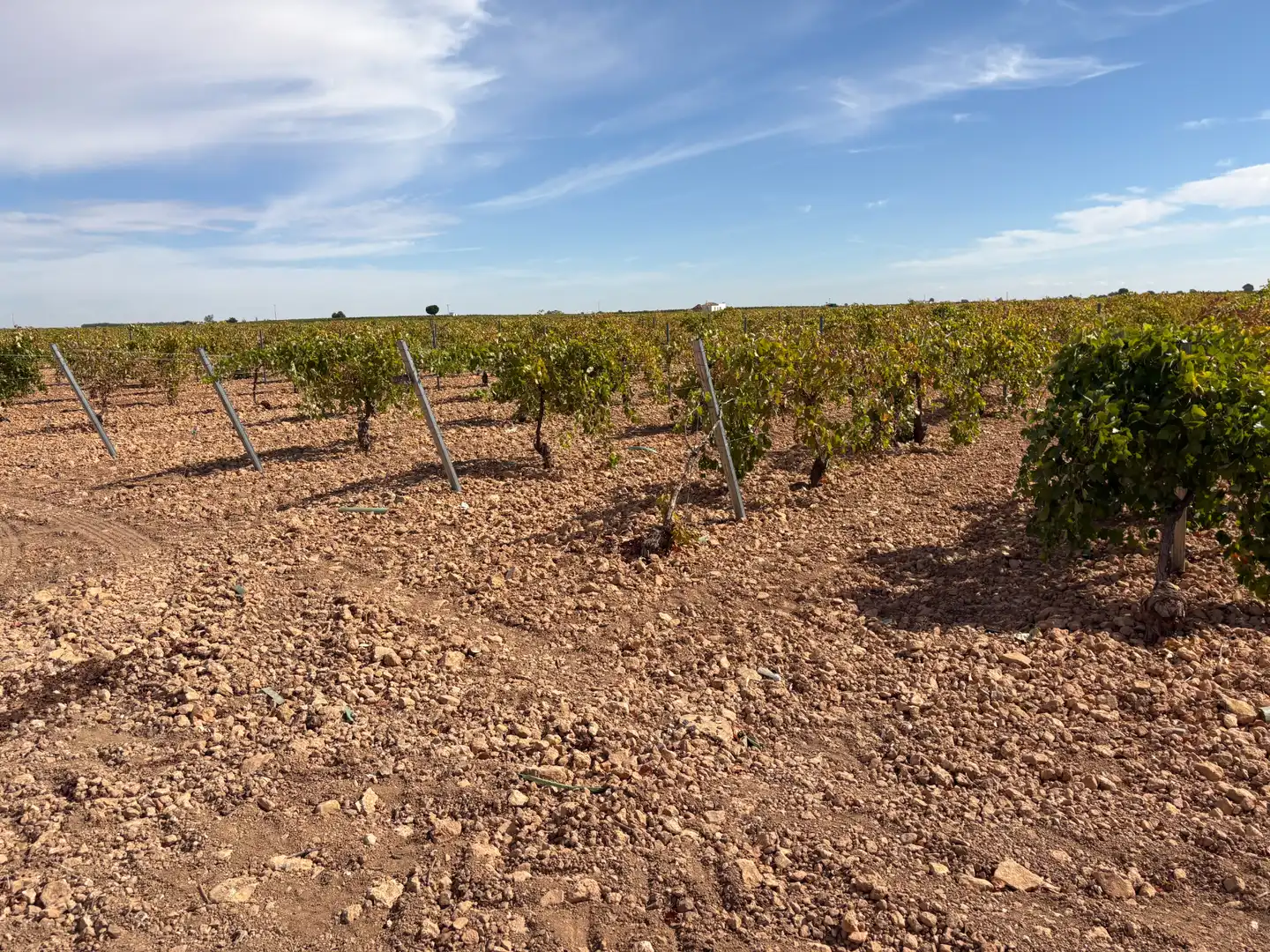 Rural land for sale in CM-400 580, imagen 38