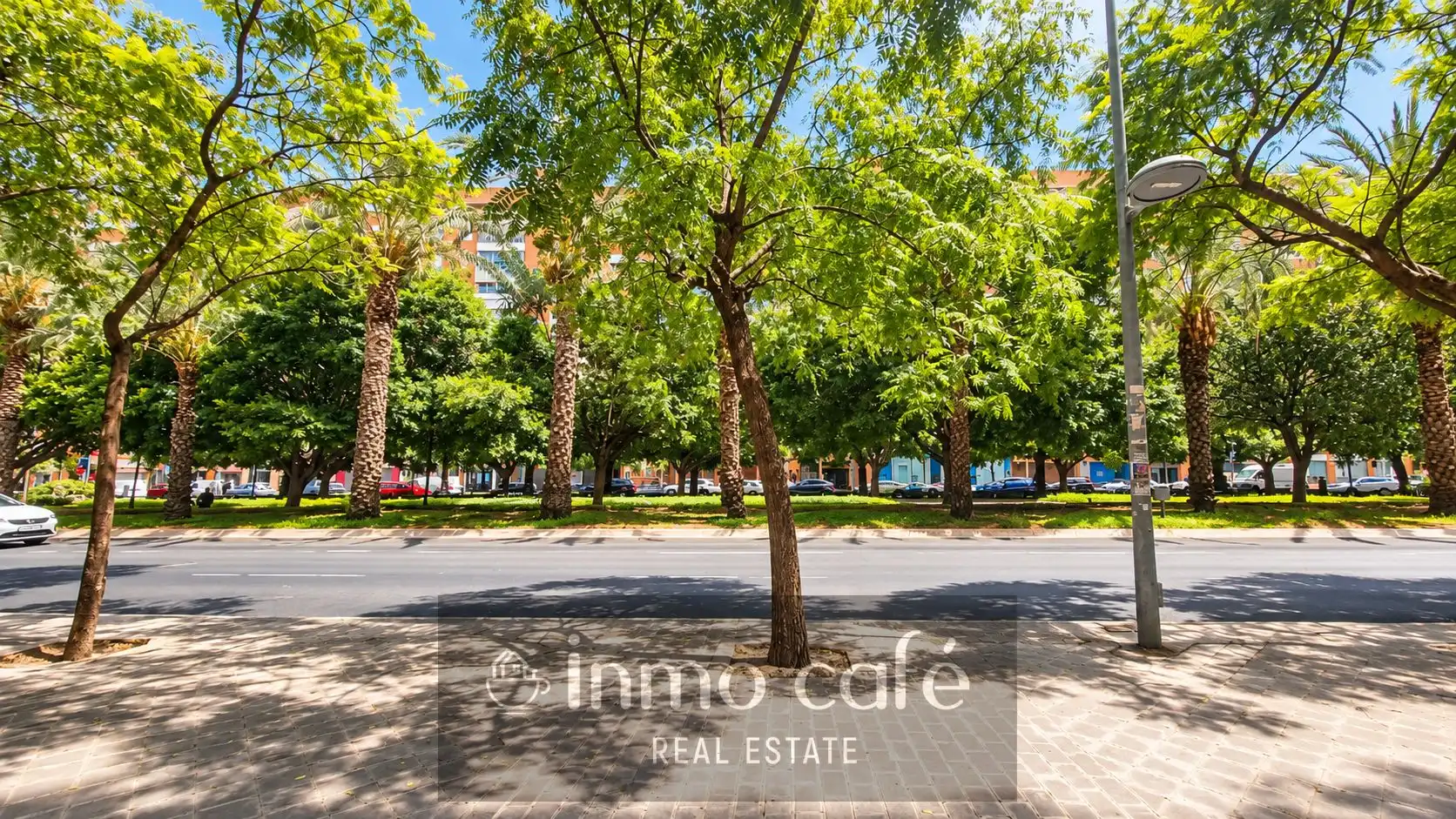 Business premises for transfer in PINTOR  XAVIER SOLER, imagen 32