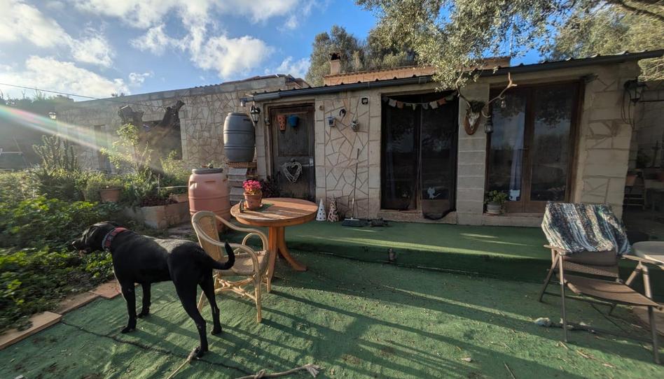 Photo 1 of Country house for sale in Montuïri, Illes Balears