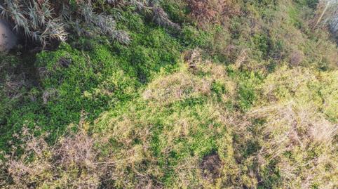 Photo 5 of Residential for sale in Centro, La Orotava