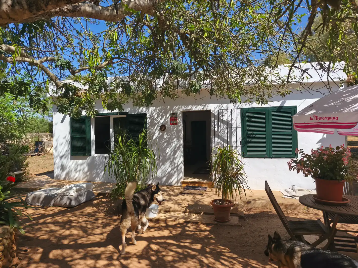 Villa mit Garten zum Verkauf in Algaida, imagen 4