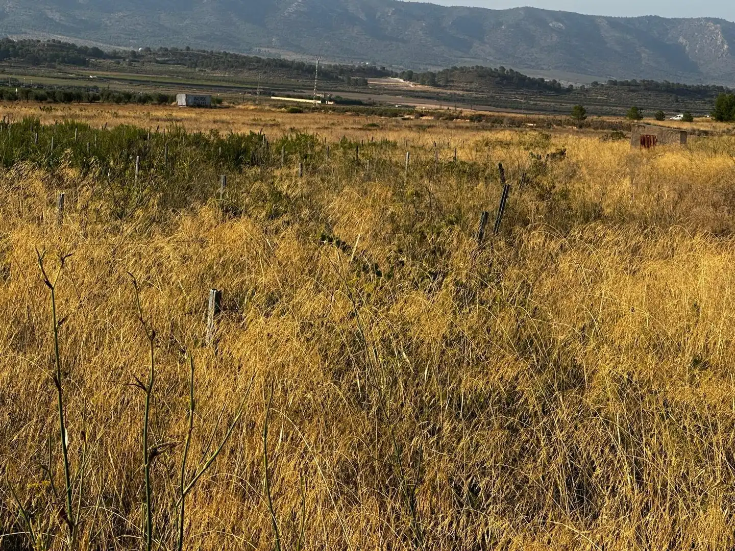 Wohnbaugrundstück zum Verkauf in El Pinós / Pinoso, imagen 3