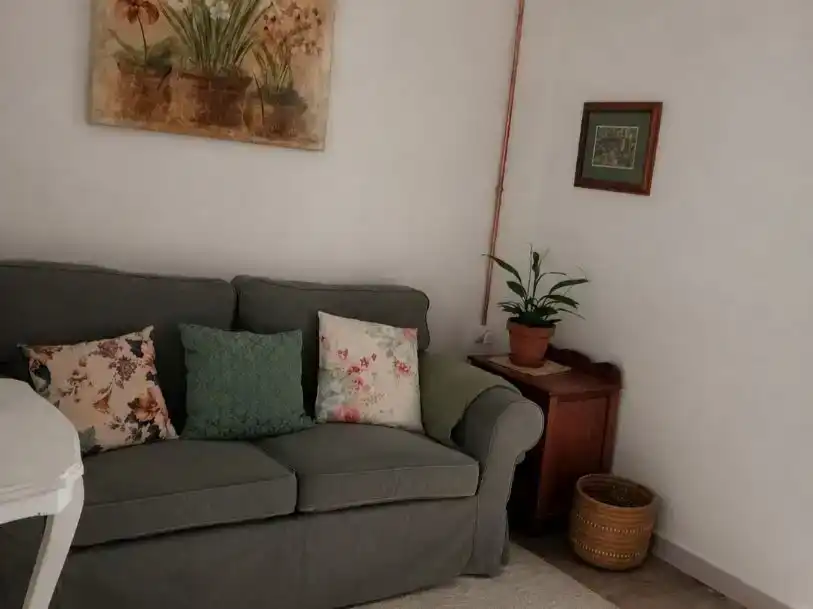 Wohnzimmer von Wohnung zur Miete in Aller mit Balkon
