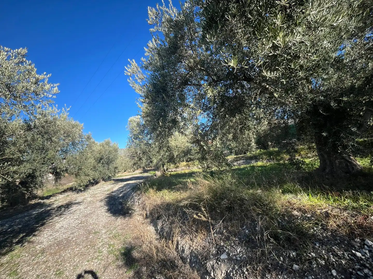 Rural land for sale in Calle Jose Saramago 2