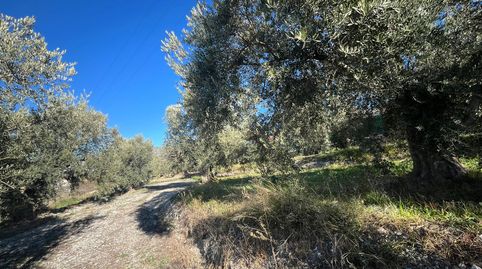 FINCA RUSTICA EN DURCAL