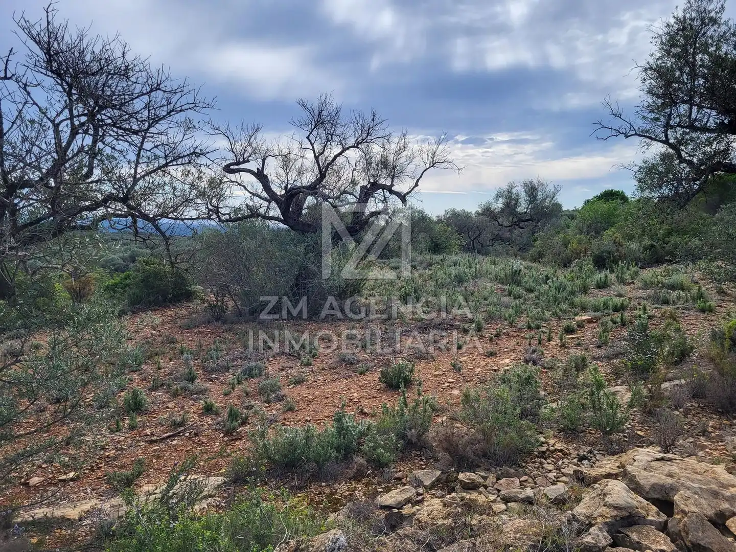Casa rústica en venta en Traiguera, imagen 13