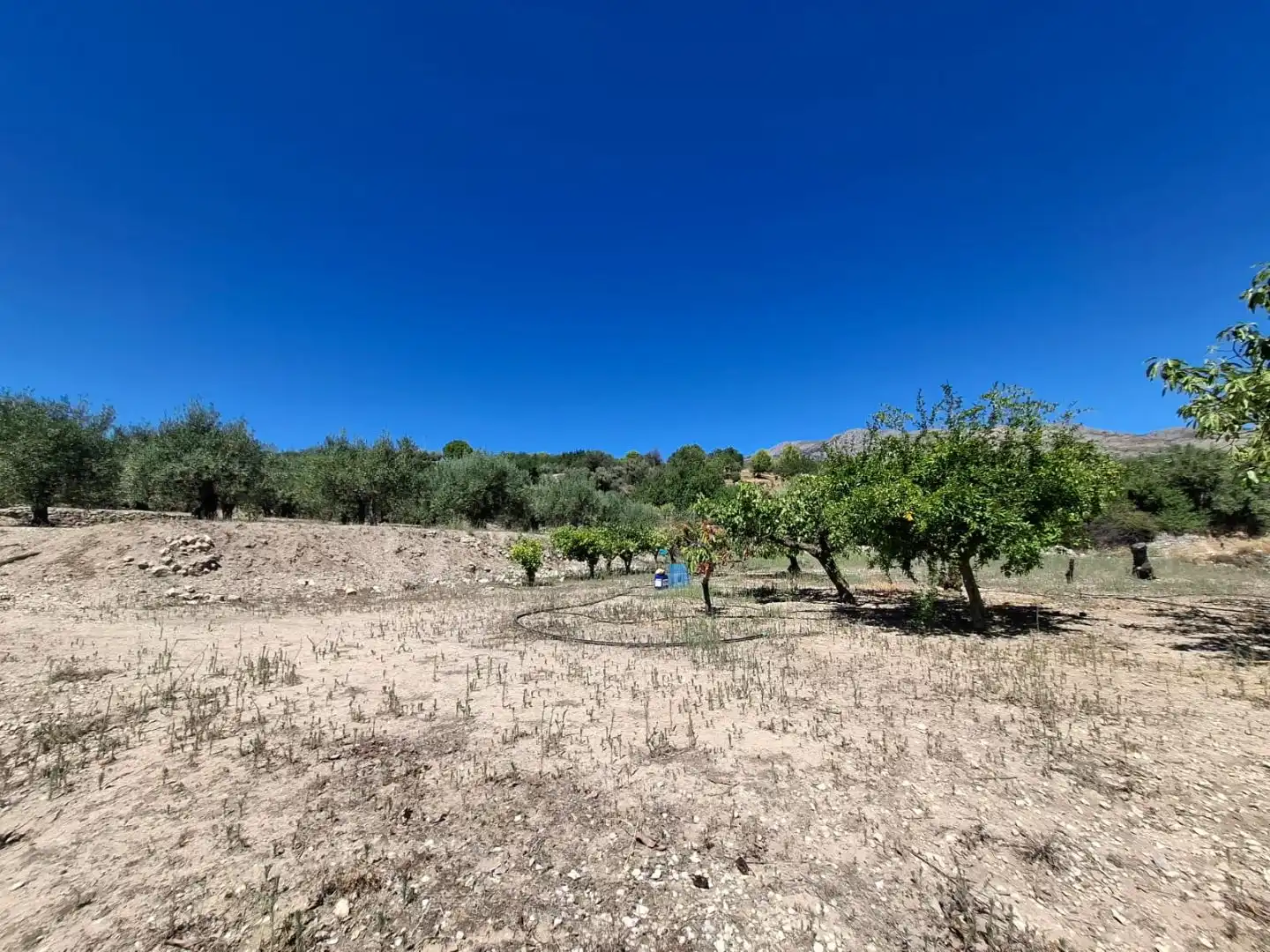 Grundstücke zum Verkauf in Beniardà