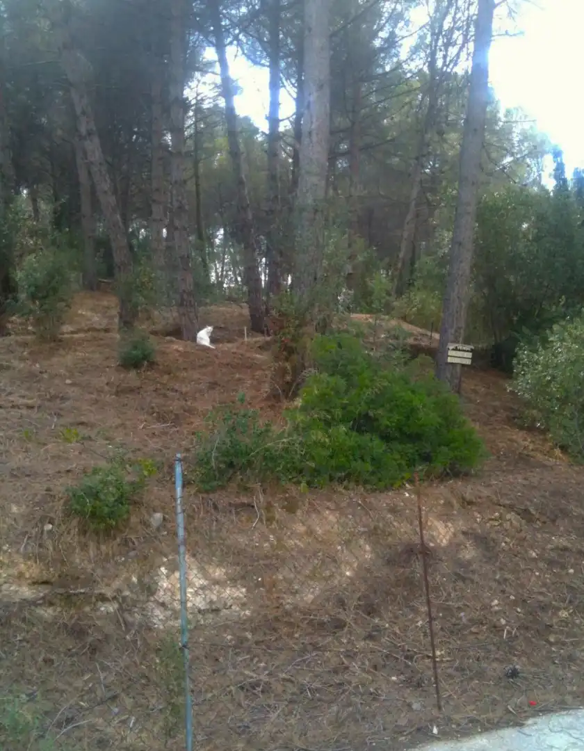 Terreno residencial en venta en Sant Muç, imagen 4