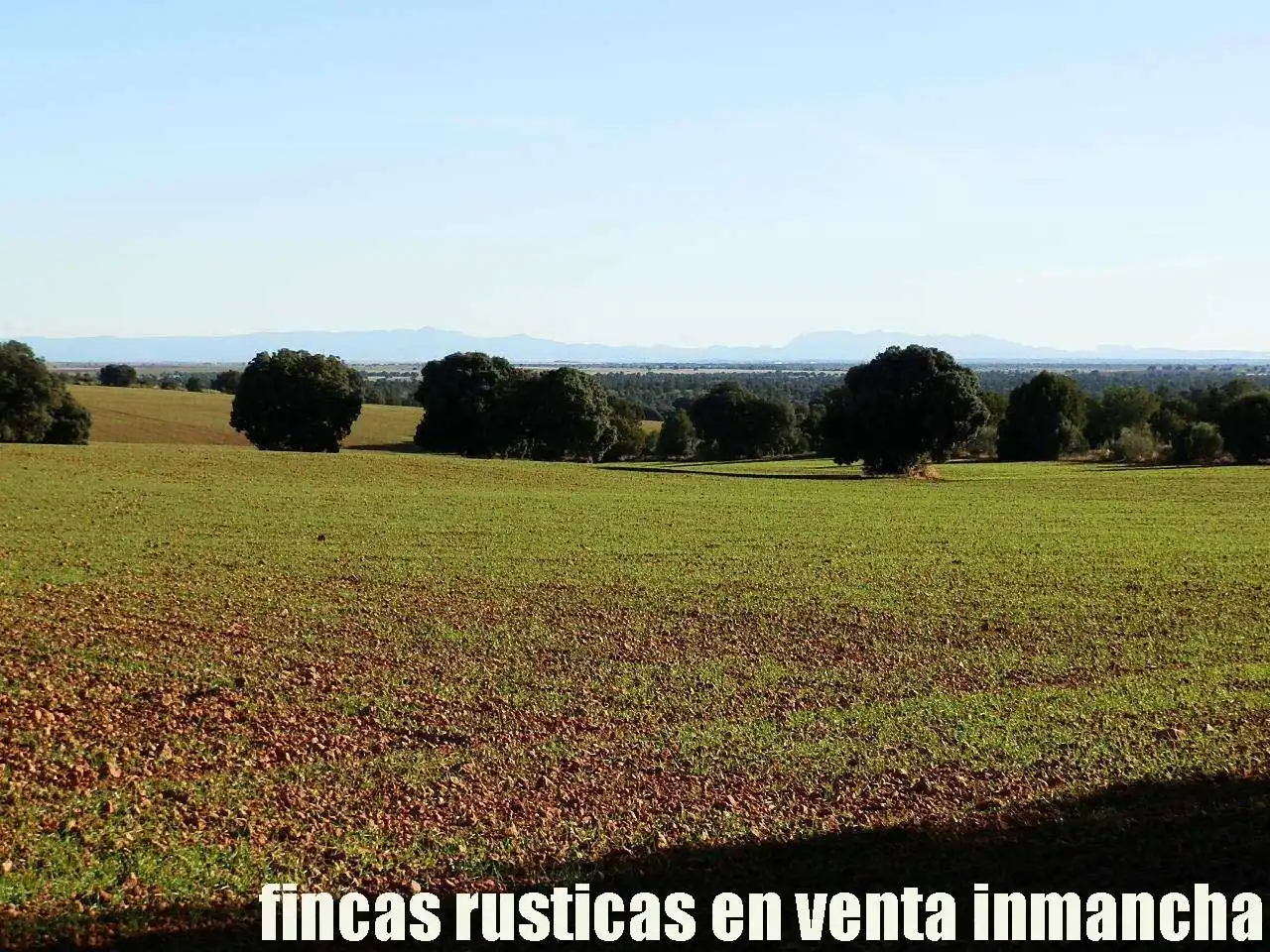 Lands and plots for sale in Ossa de Montiel, imagen 13