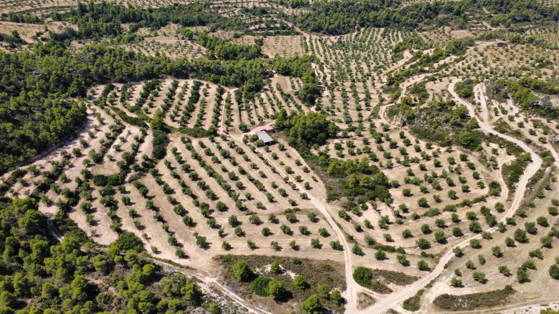 Terreno en venta en Cervià de Les Garrigues