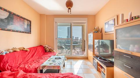 Photo 3 of Apartment for sale in Via Parque, Alicante