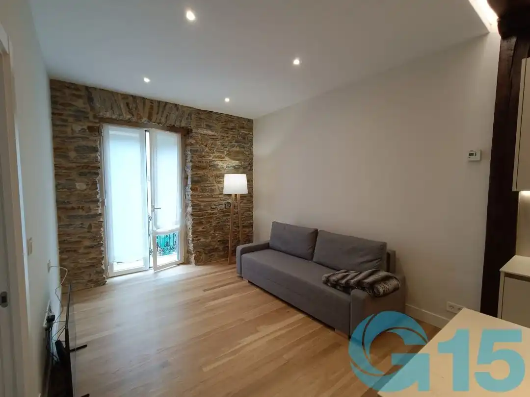 Sala d'estar de Pis de lloguer en Donostia - San Sebastián  amb Calefacció, Terrassa i Rentadora