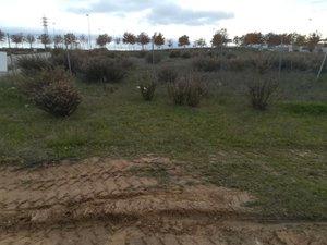 Land for sale in Alcorcón