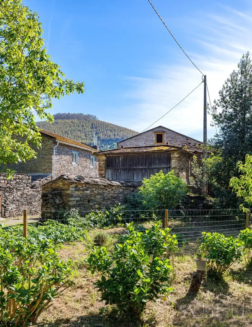 Vista exterior de Finca rústica en venda en A Pontenova  