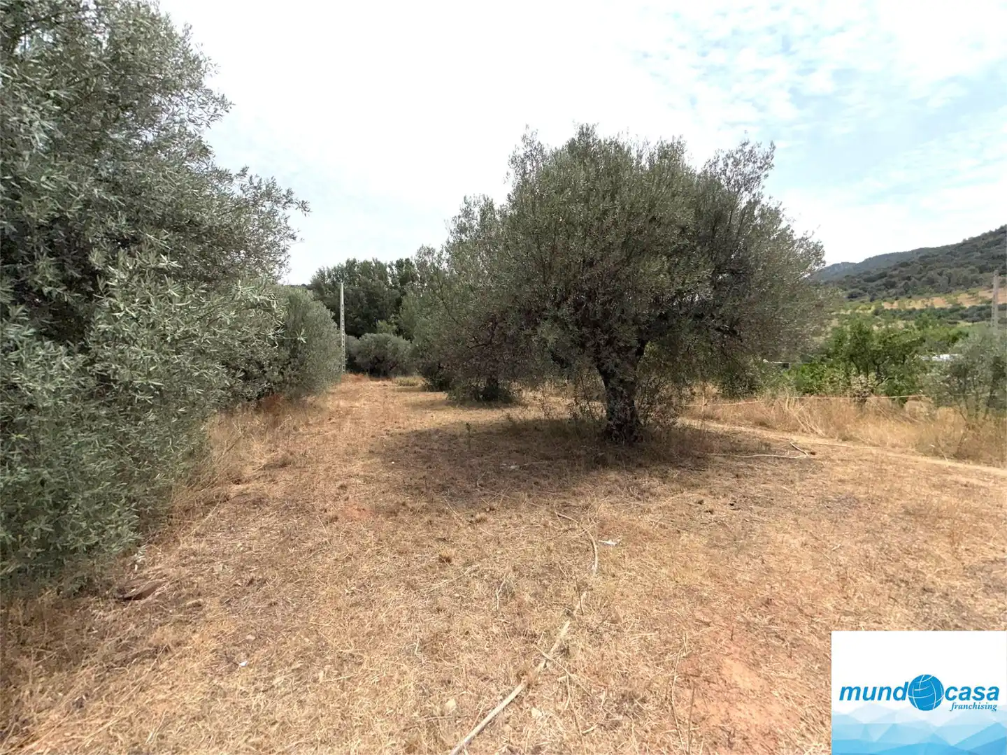 Finca rústica en venda en Morata de Jalón amb Piscina comunitària