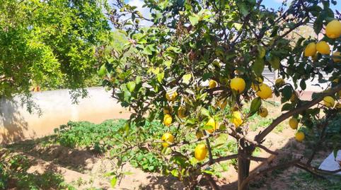 Photo 5 of House or chalet for sale in Fondo Somella, Barcelona