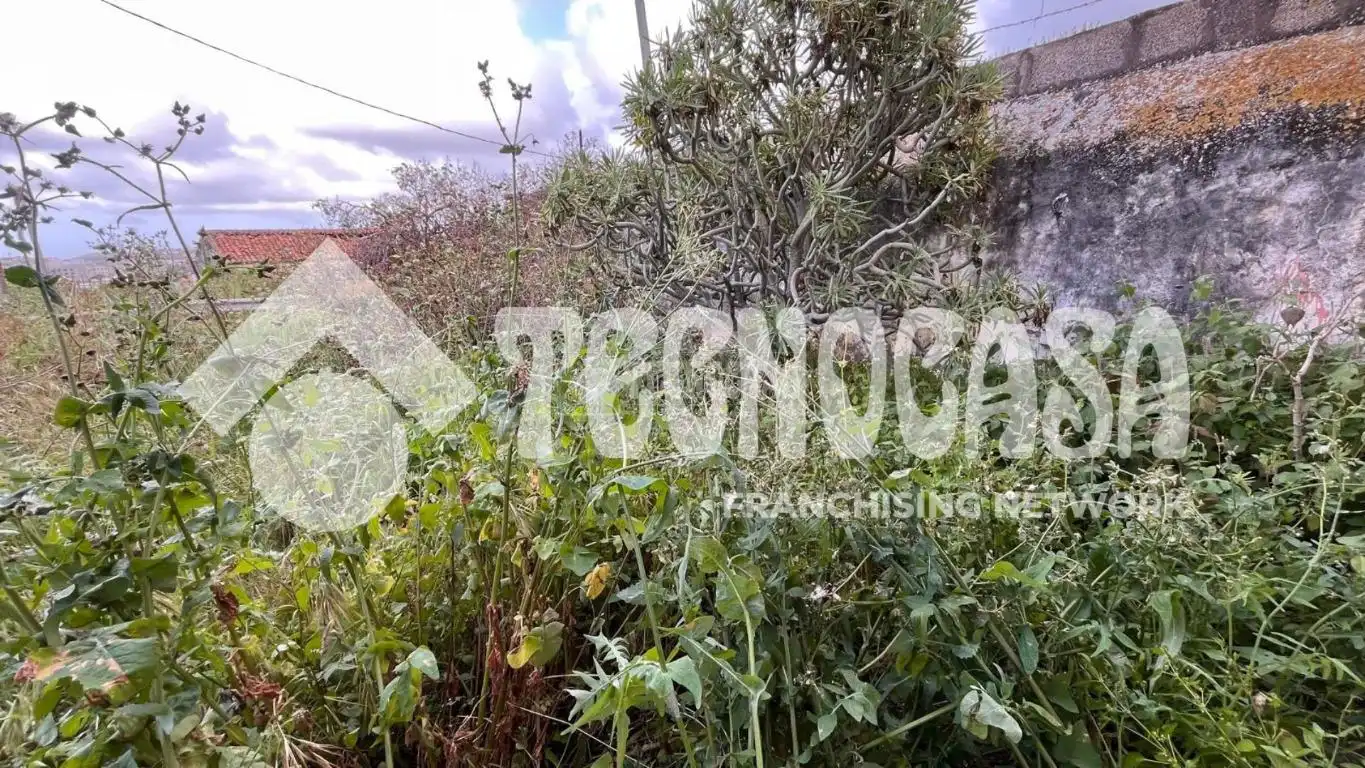 Finca rústica en venta en Arucas Casco