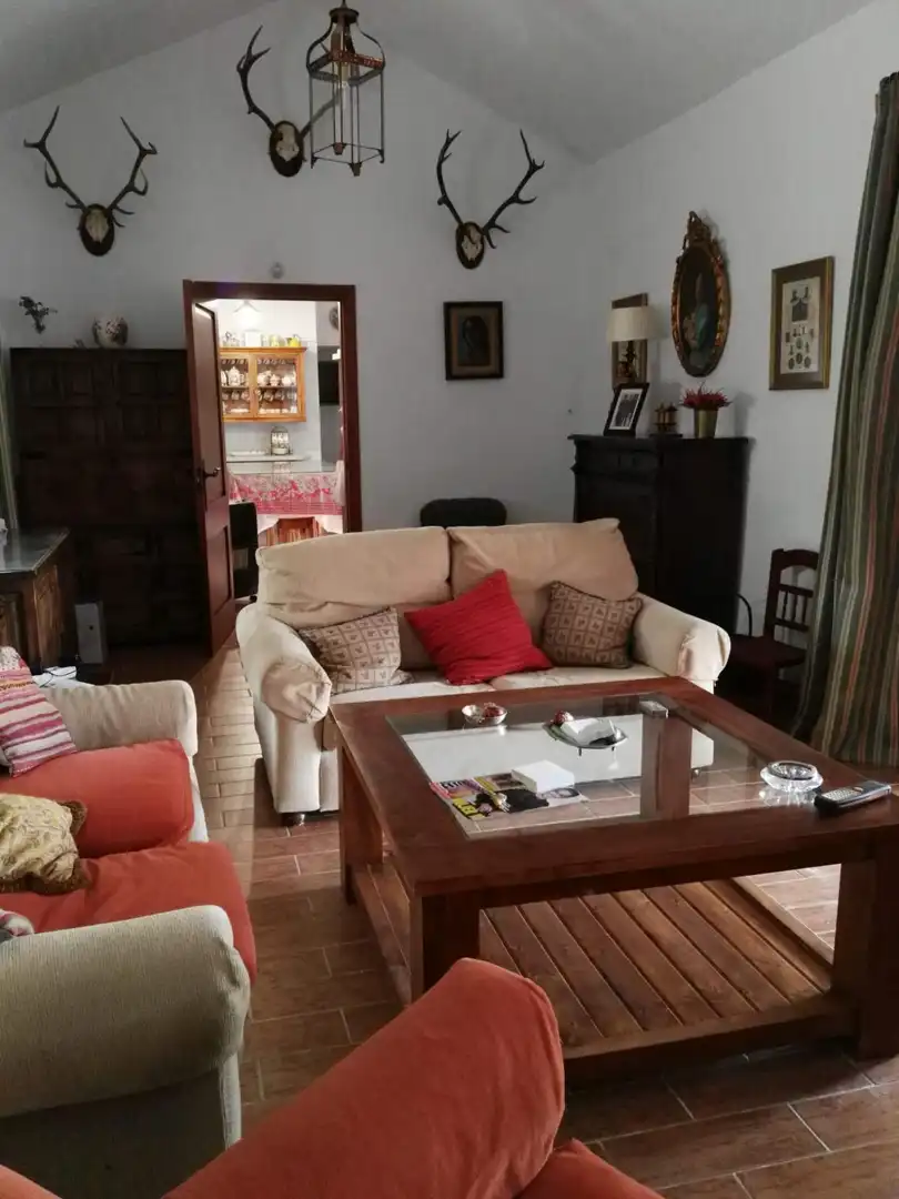 Sala d'estar de Finca rústica en venda en Arcos de la Frontera amb Jardí privat i Piscina comunitària