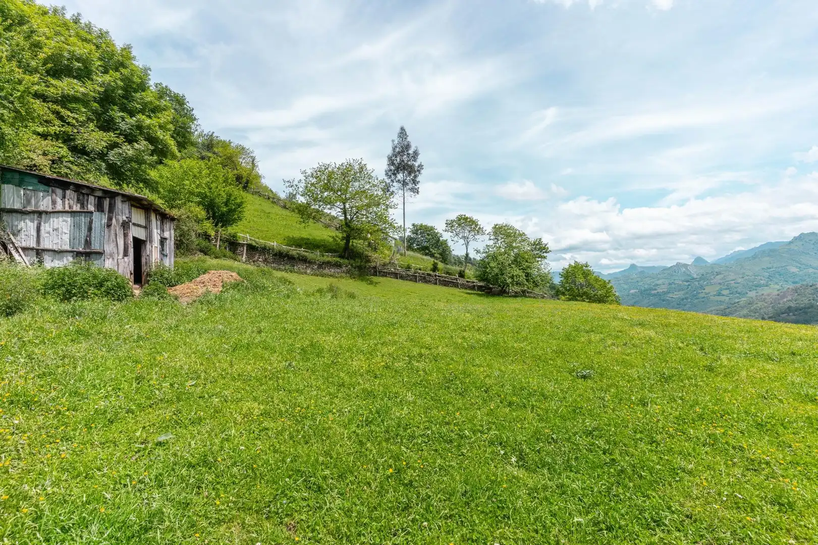 Adossat amb jardí en venda a Lugar MERUXAL,EL 40, imagen 38