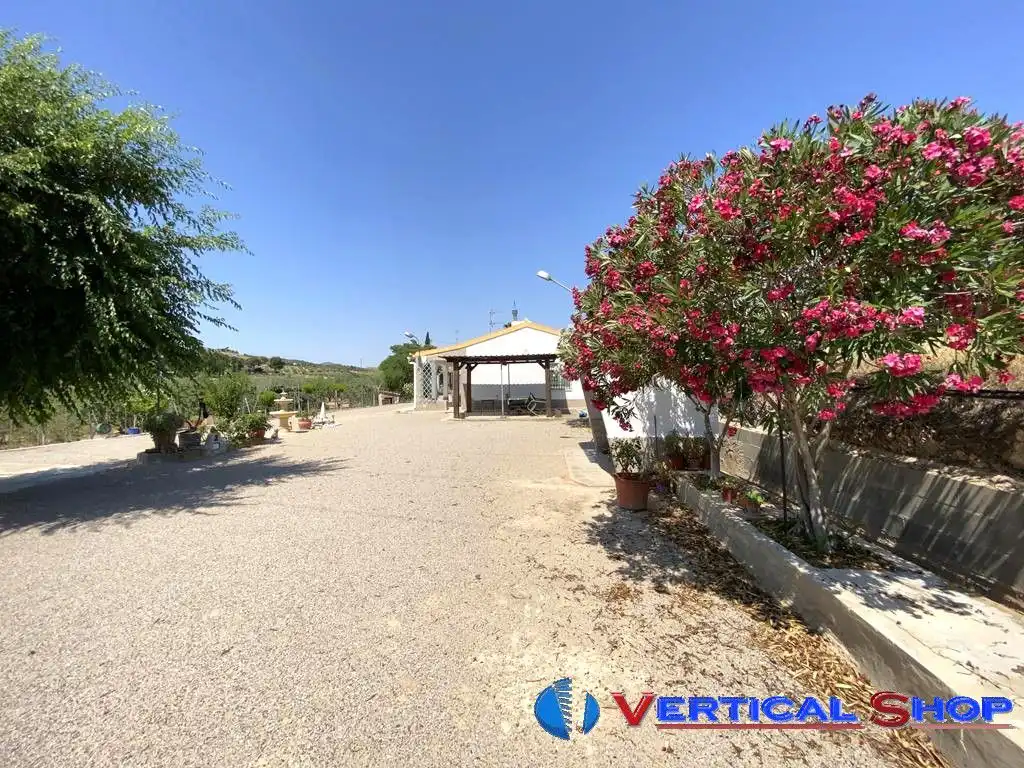Chalet en venta en Carretera Yecla, imagen 30