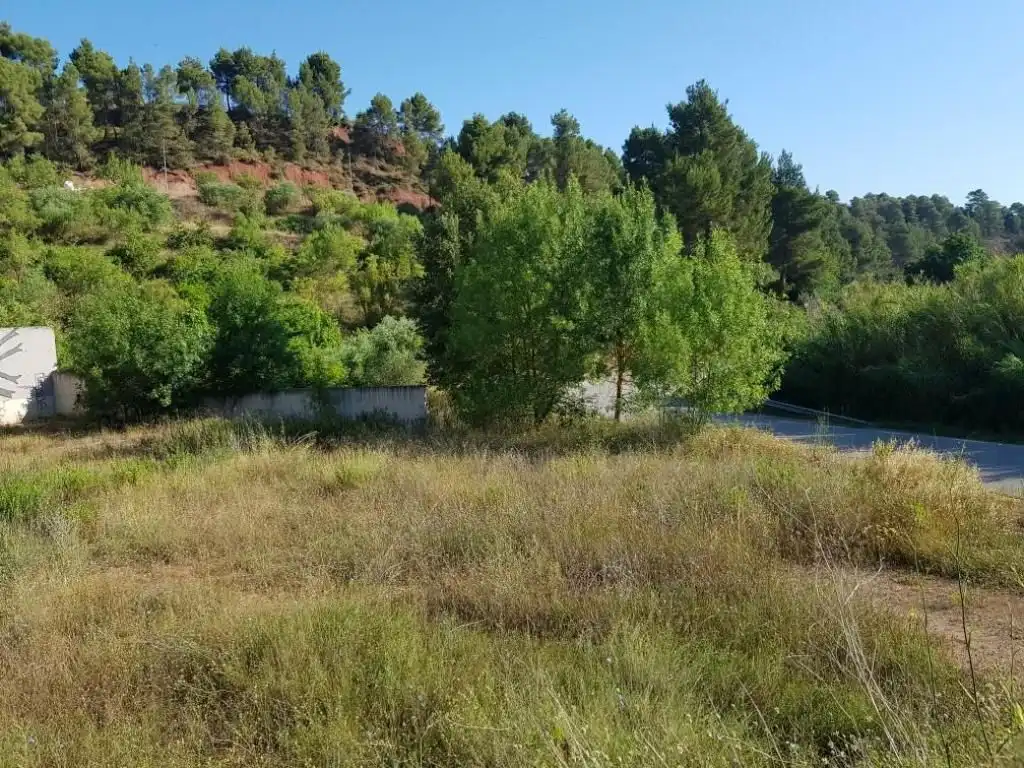 Terreni e lotti in vendita a Numancia (La), imagen 9