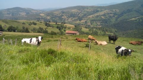 Foto 4 de Casa o chalet en venta en Luena , Cantabria