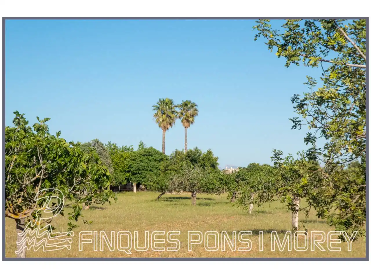 Finca rústica en venda en Campanet