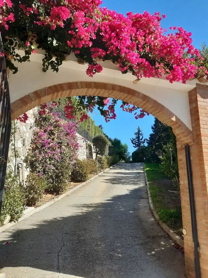 Vista exterior de Casa o xalet en venda en Mijas amb Aire condicionat, Jardí privat i Terrassa