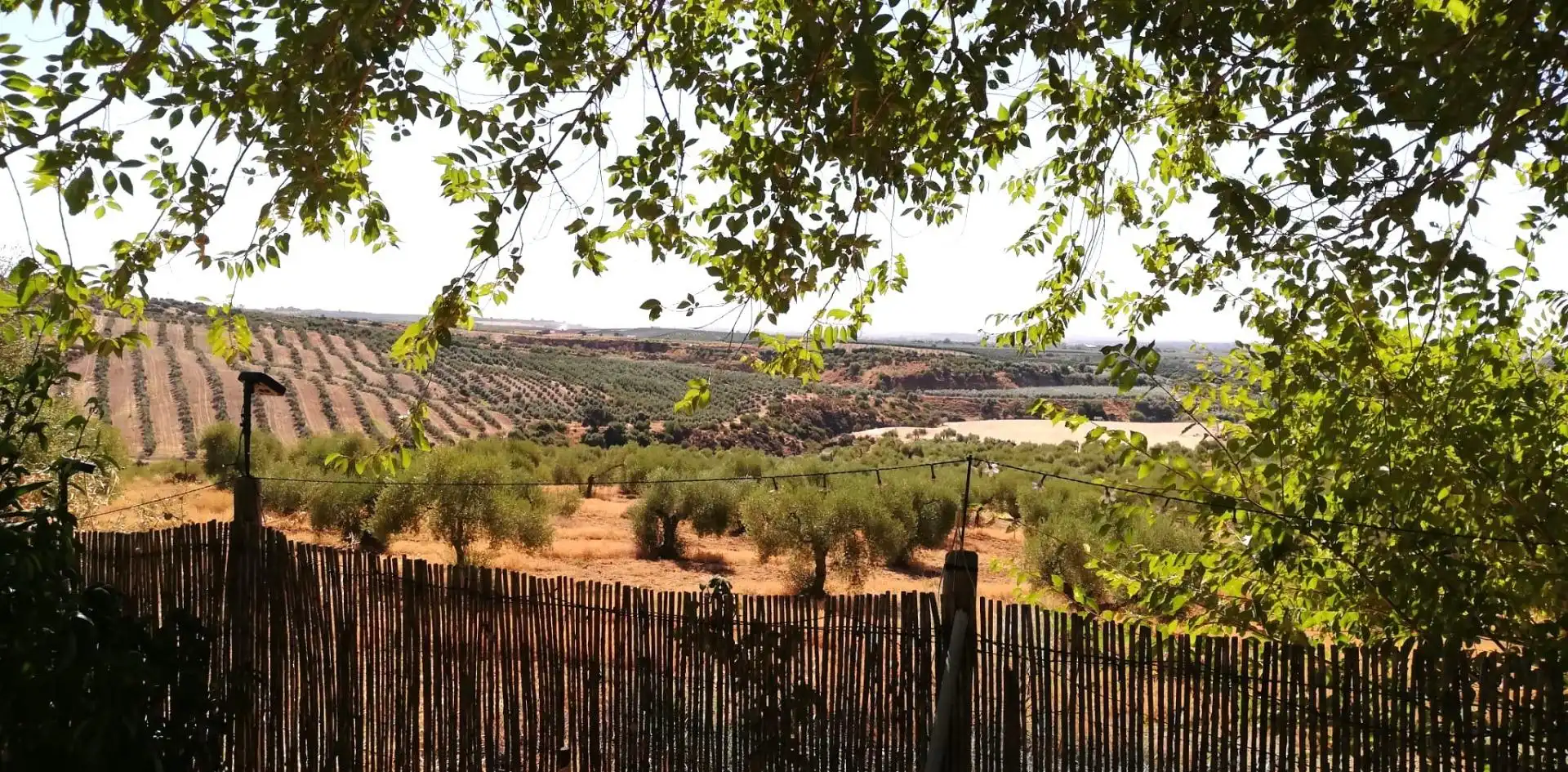 Jardí de Casa o xalet en venda en Villanueva del Río y Minas amb Jardí privat, Terrassa i Traster