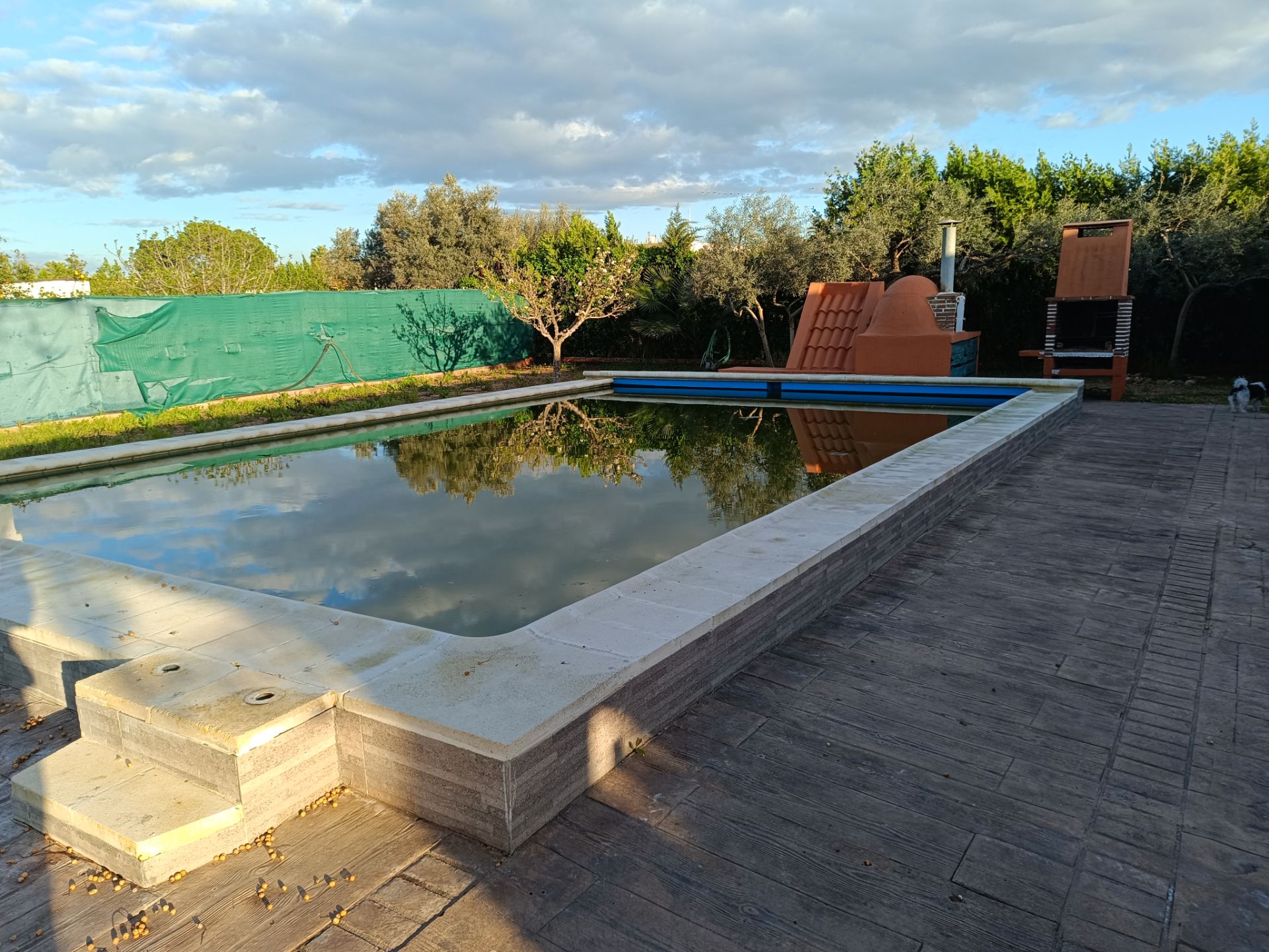 Piscina de Casa o chalet en venta en Carmona con Aire acondicionado, Jardín privado y Piscina