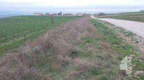 Photo 3 of Land for sale in Calle Real Baja, 23, Membrillera, Guadalajara