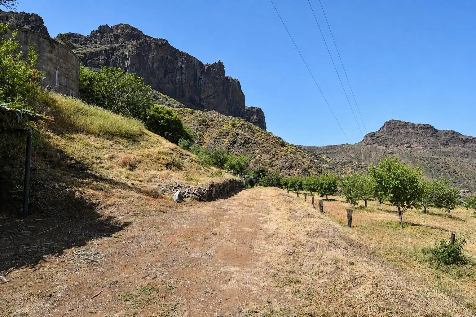 Vista exterior de Finca rústica en venta en Tejeda con Terraza