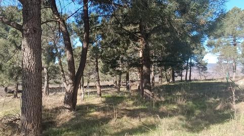 Foto 2 de Casa o chalet de alquiler en Gargantilla del Lozoya, Madrid