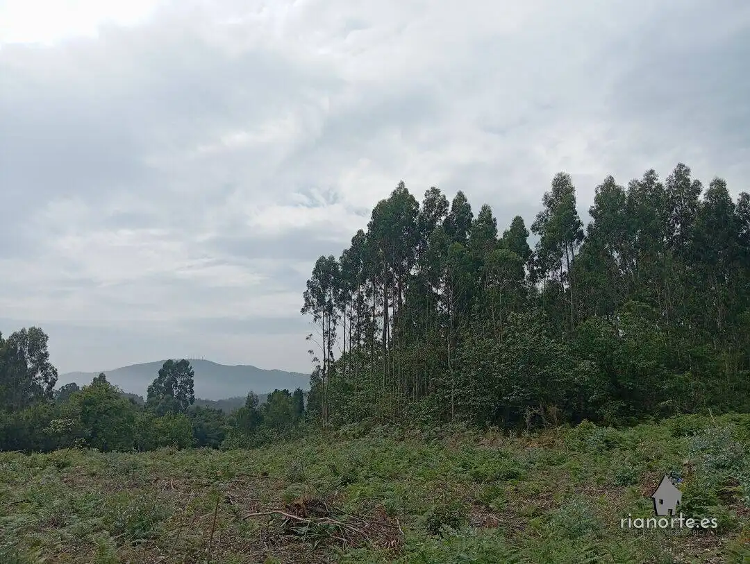 Terreno en venta en Castrillón