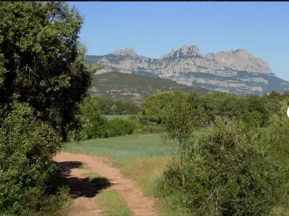 Reihenhaus mit Garten zum Verkauf in Carrer del Garraf 4, imagen 6