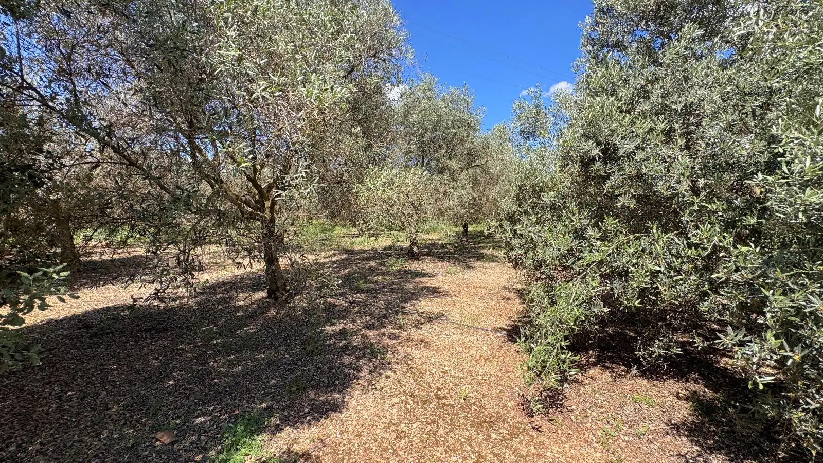 Maison rustique avec terrasse à vendre à Sa Pobla, imagen 25