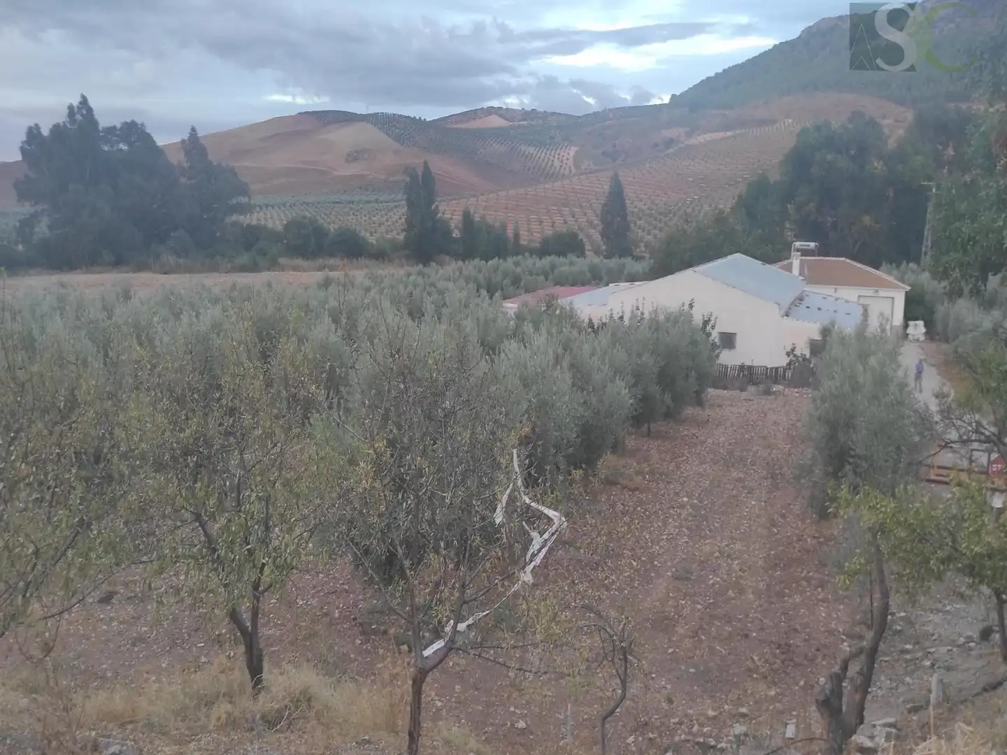 Country homes for sale in Teba