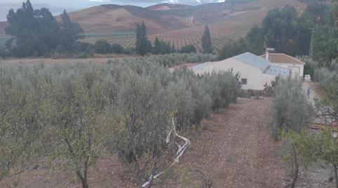 Photo 4 of Country house for sale in Teba, Málaga