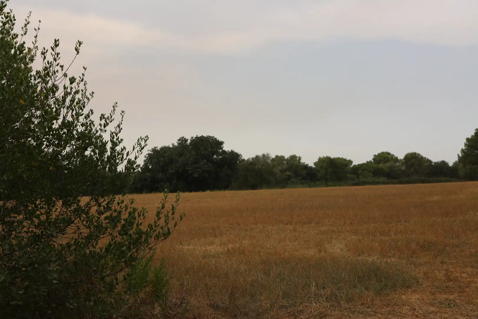 Finca rústica en venda en Begur amb Jardí privat