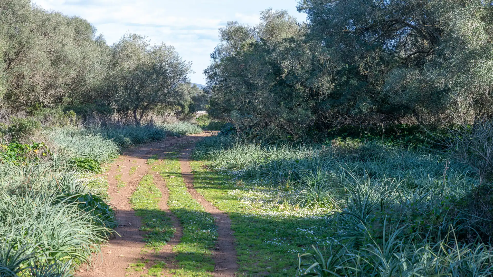 Finca rústica en venta en Vilafranca de Bonany con Terraza, Trastero y Balcón