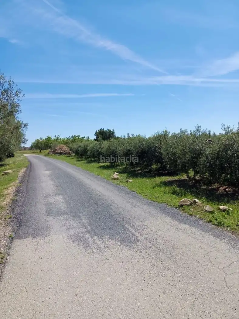 Rural land for sale in Carrer Molí del Mig 29, imagen 7