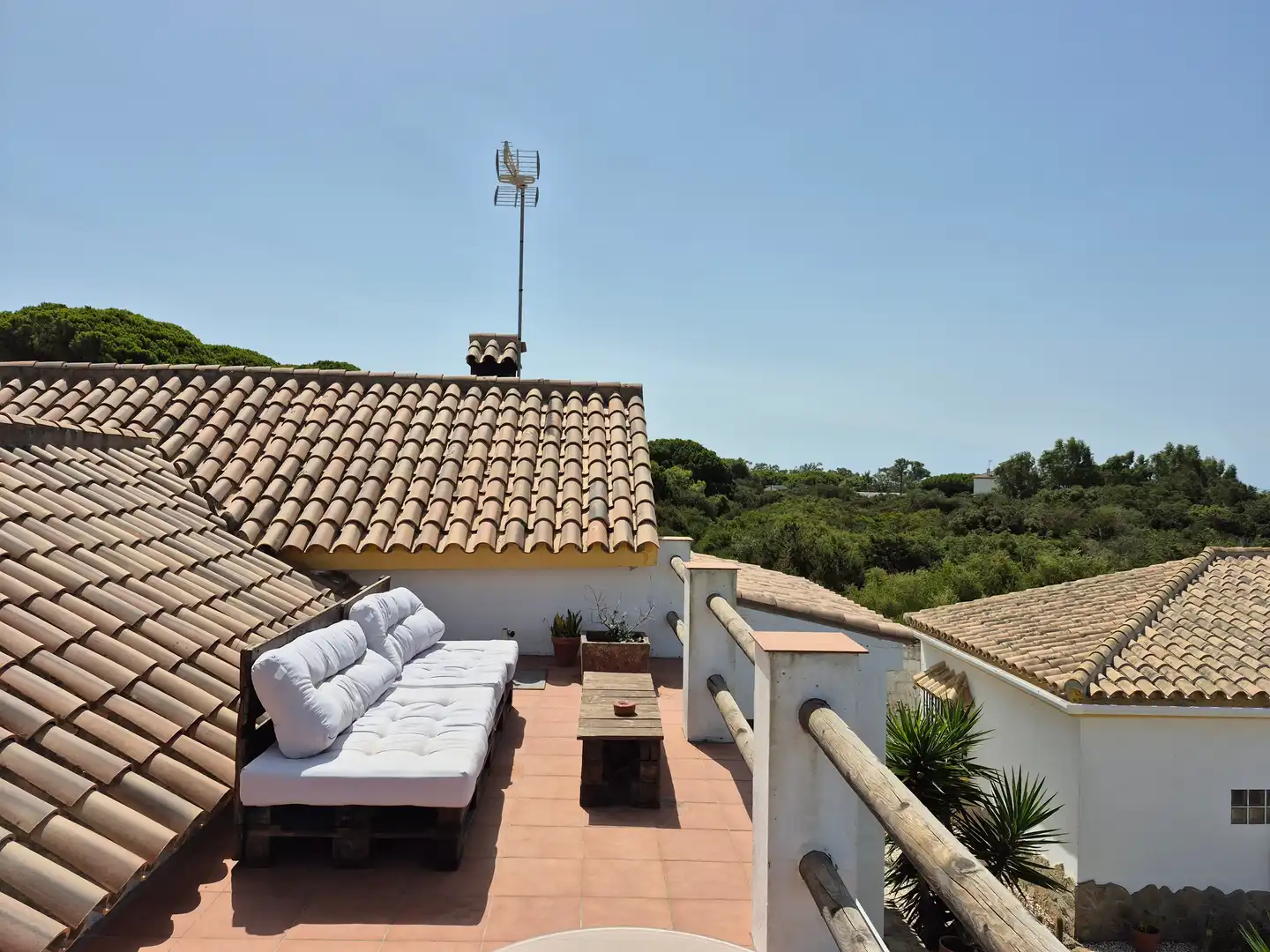 Terrace of Country homes for sale in Barbate  with Terrace