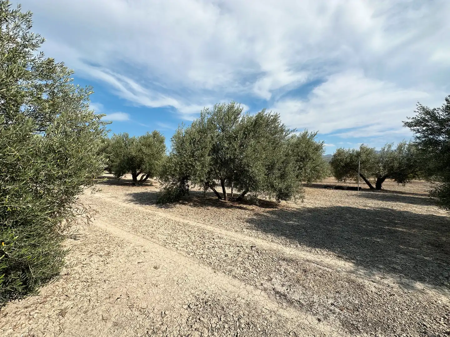 Terrenos y solares en venta en Úbeda, imagen 2