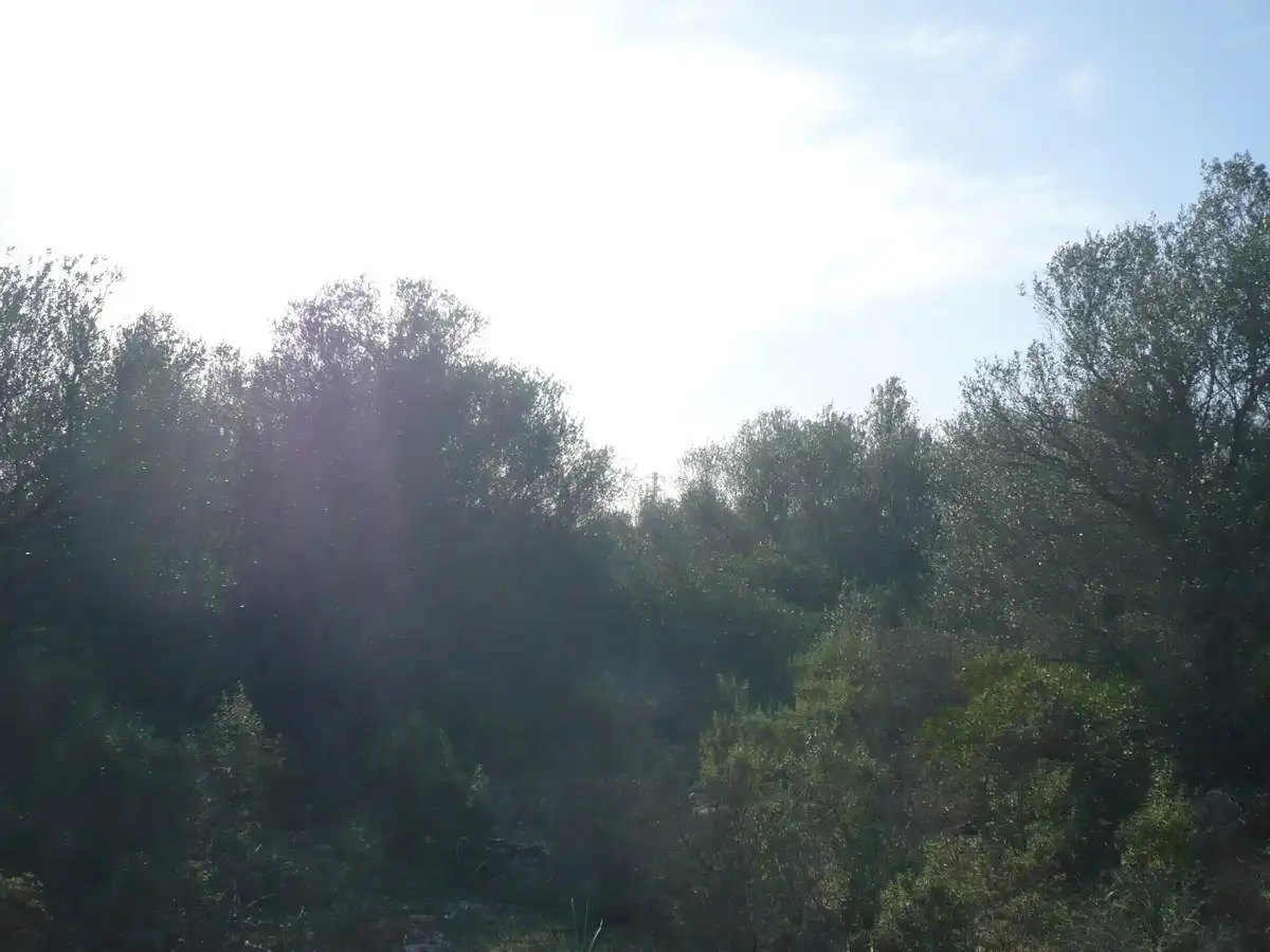 Terreno rustico in vendita a Ma-6014 Km 24, imagen 14