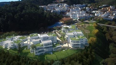 Photo 2 of Planta baja for sale in N/a, -1