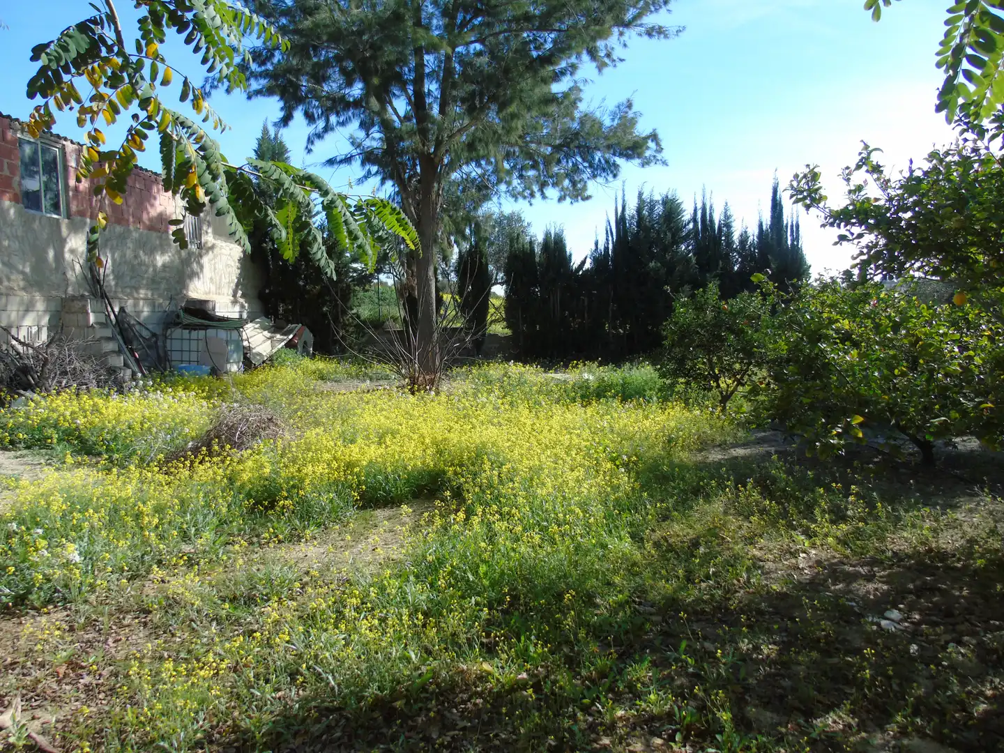 Finca rústica en venta en Molina de Segura con Aire acondicionado, Jardín privado y Amueblado