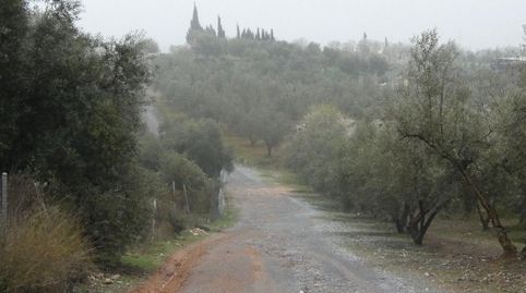 Finca rústica en Peligros  Ideal inversión o explotación agrícola, immagine 5