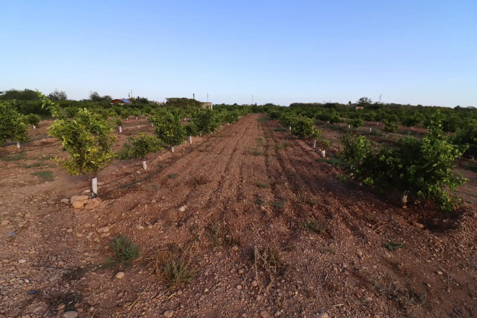 Terreny en venda en Vinaròs