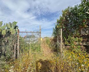 Land for sale in El Álamo - Arbejales